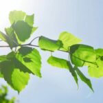 Riscaldamenti spenti inizia la manutenzione